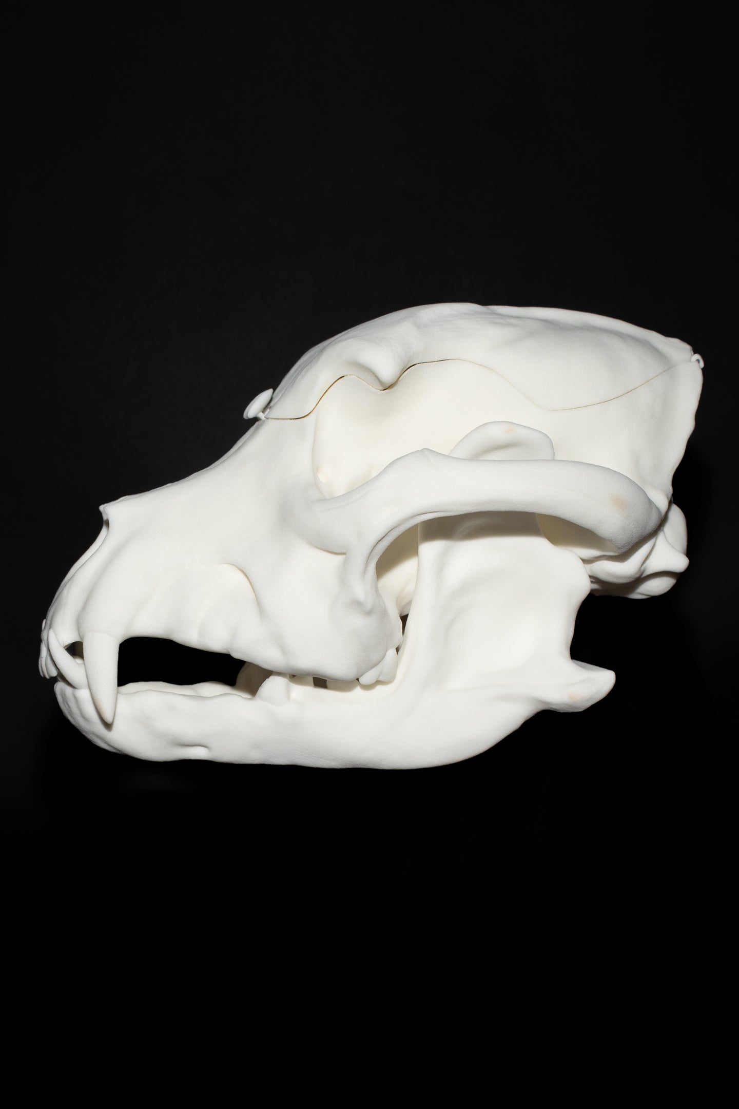 BITE BAG
