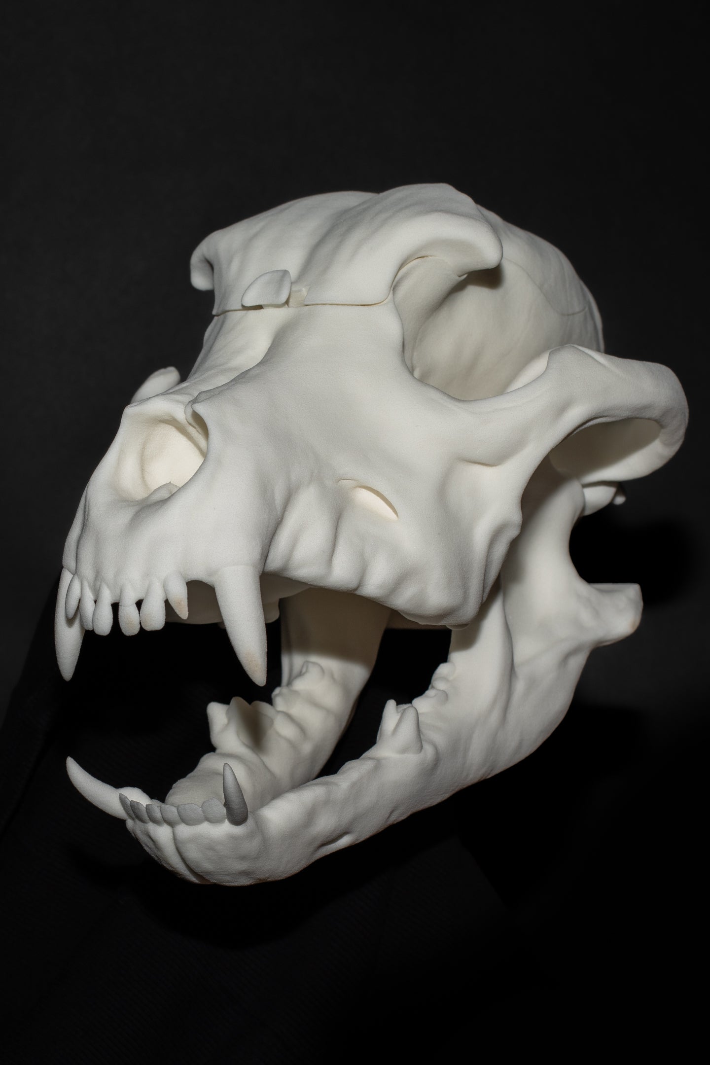 BITE BAG