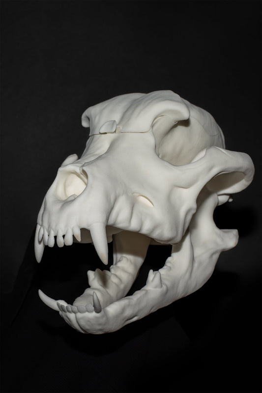 BITE BAG three-quarter view on black, jaw open showing fangs, natural bone colour with matte sandstone finish