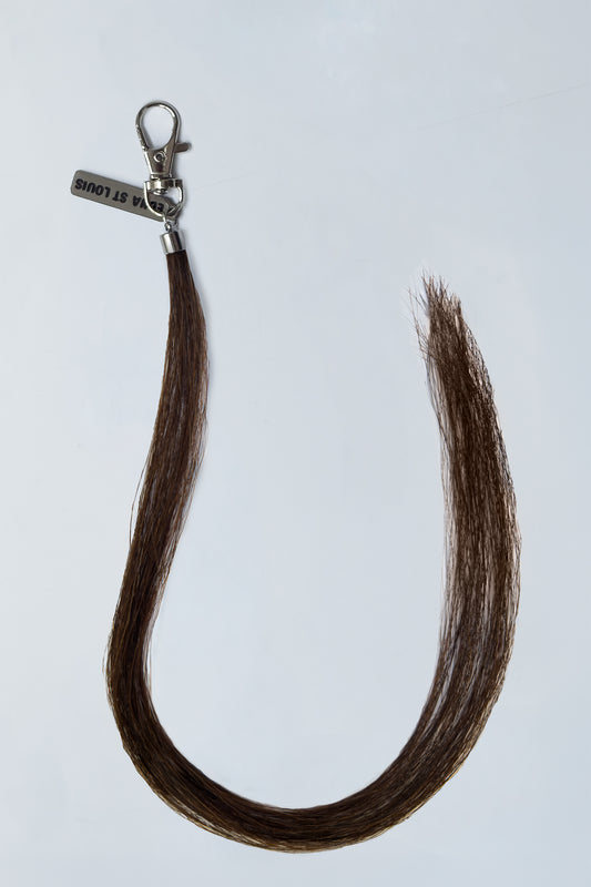 HORSE HAIR MULTI CHARM (CHESTNUT): flat lay of the dark brown horse hair tassel with silver clip and logo tag